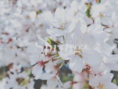 -龙美术馆(西岸馆)