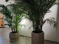 -YCHL FIT 健身(星寰店)