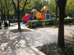 -新江湾城公园