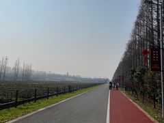 -上海长兴岛郊野公园