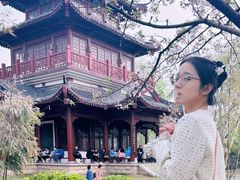 -堤角公园