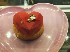 -Husky Go! 哈士奇体验馆·宠物咖啡厅狗咖