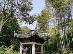 -红梅公园