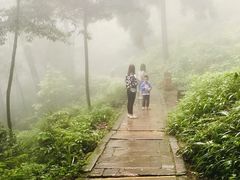 -青城山