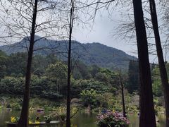 -深圳仙湖植物园