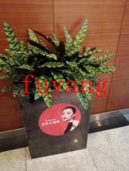 -Yestar杭州艺星医疗美容医院