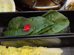 -刘一锅筋头巴脑(小北店)