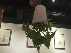 大堂-柴务处·柴犬主题狗咖