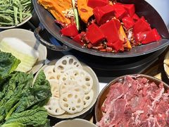 -阳阳老火锅(小南门店)