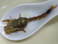 -国英炖品店(甲子路店)