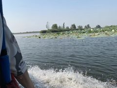 -白洋淀景区