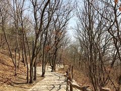 -童牛岭风景区