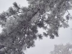 -终南山国家森林公园