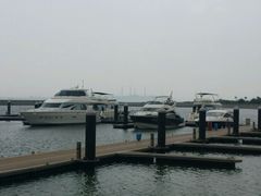 picture-南沙游艇会·大兵船餐厅