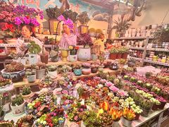 -花鸟鱼虫鲜花绿植市场(玉泉路店)