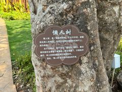 -西双版纳傣族园