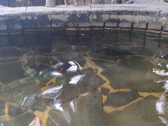 -龙达温泉生态城
