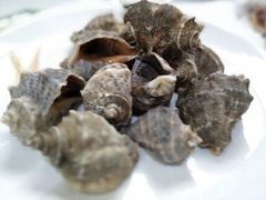 -北戴河庆山饭店·海鲜砂锅粥(北戴河黑石路店)