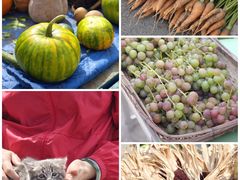 -辛庄国际文化艺术区