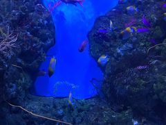 -鹿儿岛水族馆