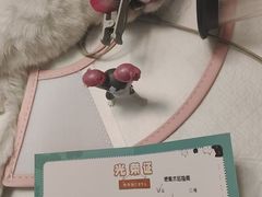 -瑞派宠物医院·犬猫全科·猫友好(宾水西道店)