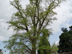-金堂县云顶石城风景区