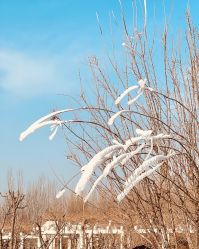 点击看大图 -优沃得自然教育农场·冰雪乐园·生日会·研学