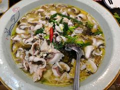 -周正水煮活鱼·吊水鱼(万科店)