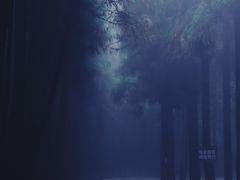 -武陵山森林公园