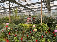 -南宫五洲植物乐园