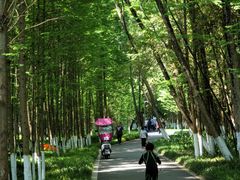 -桤木河湿地公园