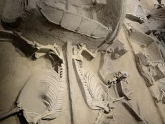 -洛阳周王城天子驾六博物馆