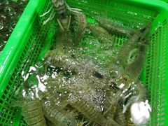 -都斛海鲜街