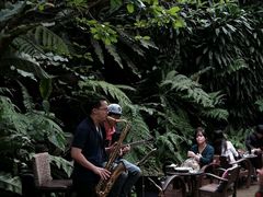 -Fern Forest Cafe