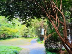 -盆景园(扬州大运河文化旅游度假区)