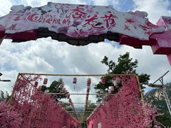 -北京凤凰岭