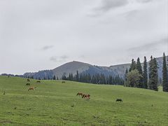 -新疆那拉提国家旅游度假区