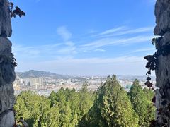 -原山国家森林公园