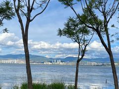 -洱海月湿地公园