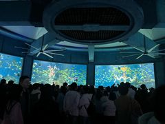 -海合安武汉极地海洋公园