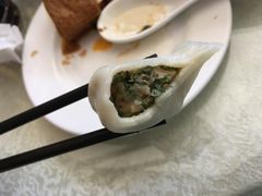 猪肉茴香水饺-闫水饺大酒楼·北京老闫靓马饺子馆