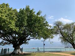 -西昌邛海宾馆