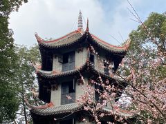 -成都杜甫草堂博物馆