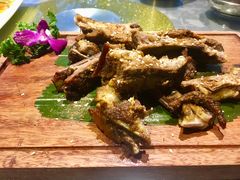 -陶缘一号·四季缘·老字号顺德菜·户外婚礼家宴(西滘店)