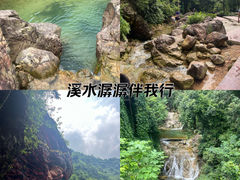-南海湾森林生态园