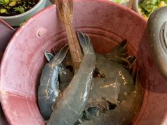 -美盛喜来登大酒店-盛宴标帜餐厅