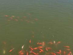 -卧龙湖