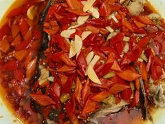 -苏启渔港(云南北路店)