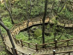 -大岭沟猕猴桃谷风景区