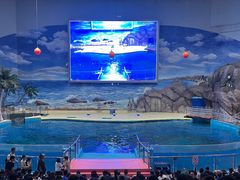 -福州罗源湾海洋世界旅游区